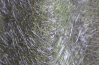 Ashton fibreglass roof work